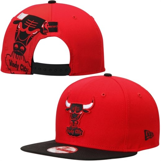 NBA Chicago Bulls NE Snapback Hat #357